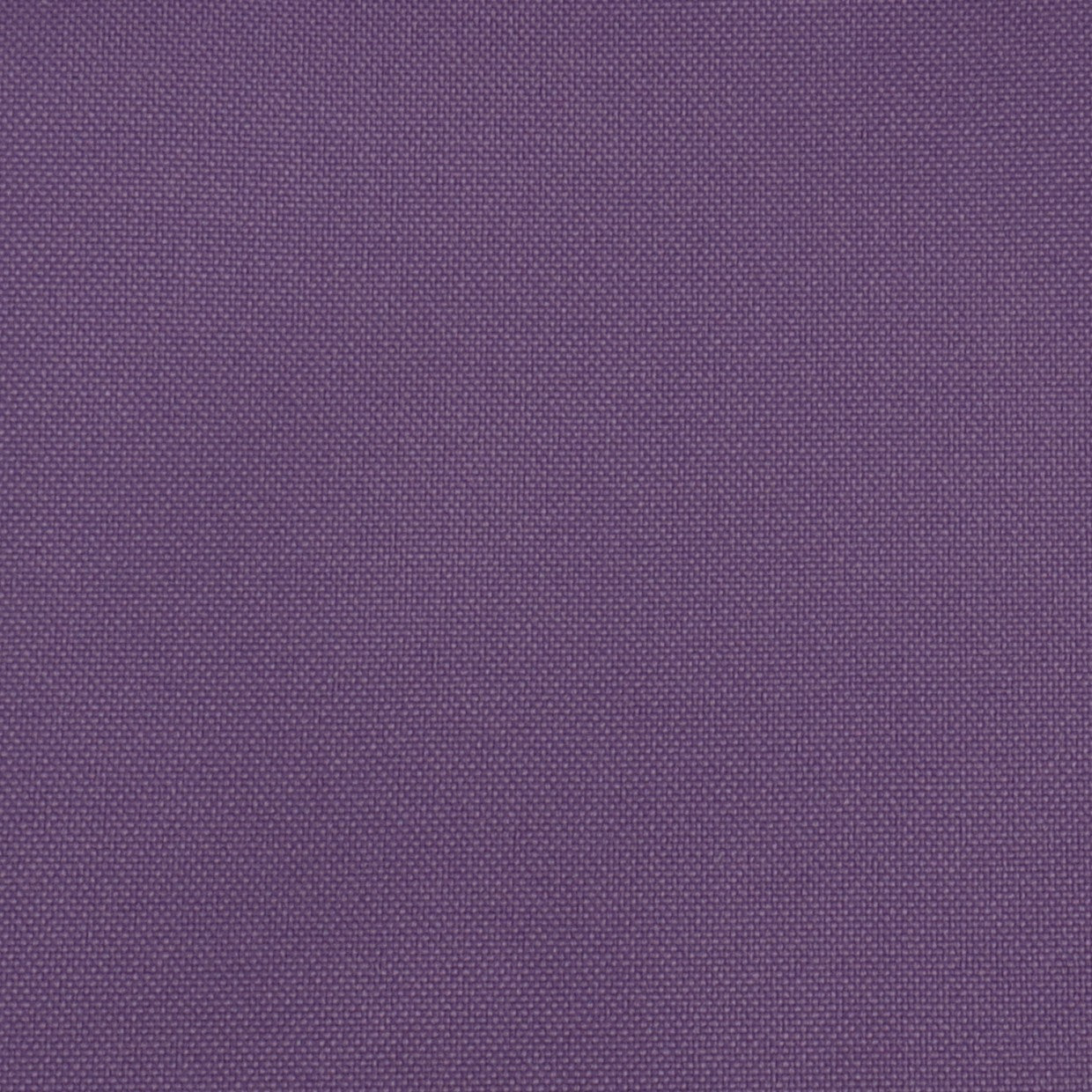 BISTRETCH LILA