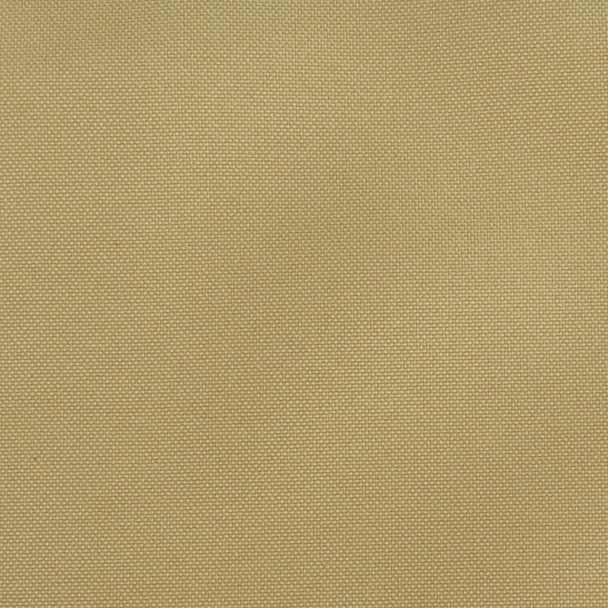 BISTRETCH CAPPUCCINO