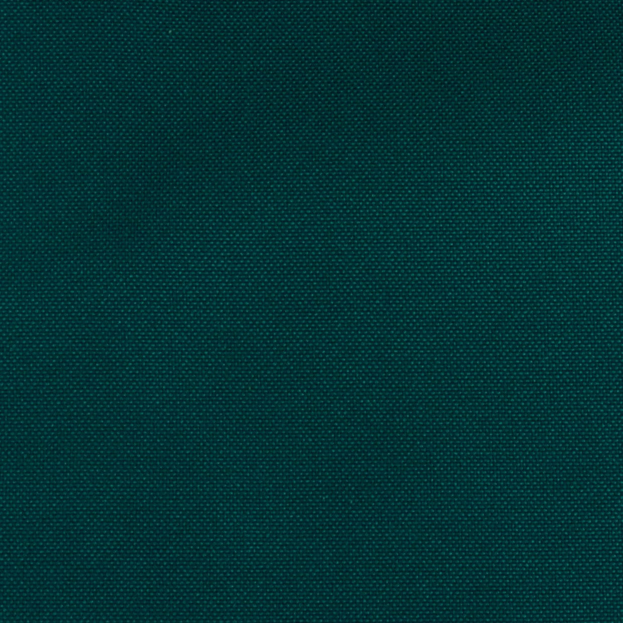 BISTRETCH VERDE PETROLEO