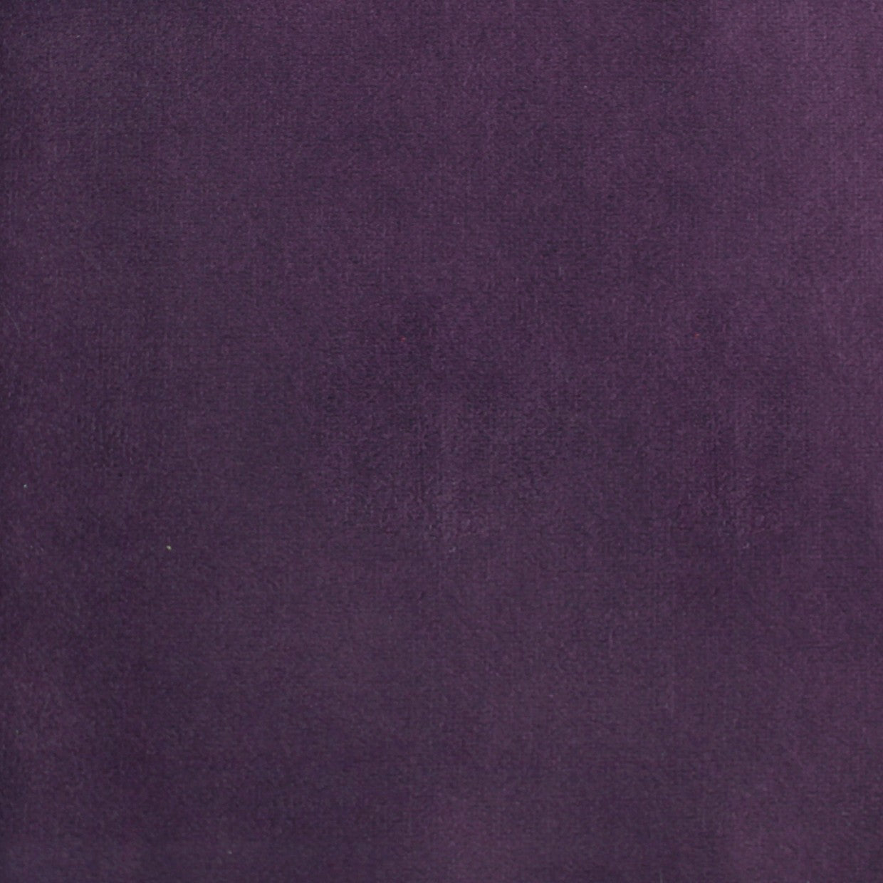 MICROF SOFT VELVET LISO MORADO